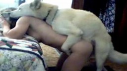 Частное порно зоо хозяйка с псиной