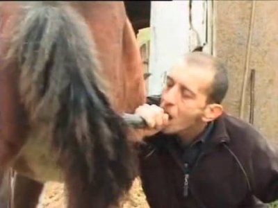 Взрослый мужик сосет у молодого коня